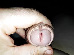 Night Jerk 1