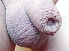 close up cock