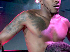 You can put your ebony trunk in me while I have fun