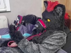 Male, leash, murrsuit