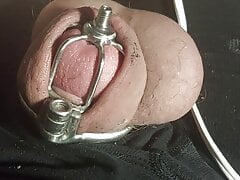 Chastity Cum with Hitachi Vibrator