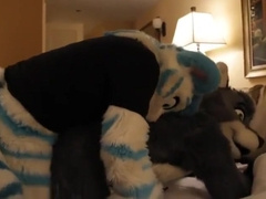 Fursuit sex 42