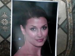 Tribute to Bridget Moynahan gorgeous face