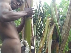 Solo Forest Plantain Fuck