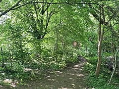 Fully naked public wank on busy path in the woods