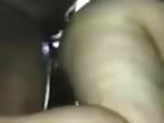 Bear getting fucked