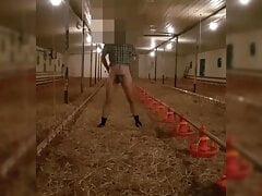 Janitor naked work , masturbate cum and show ass
