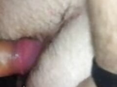 italian bear bb fucks cub