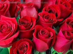 Big ass, mature, hd videos