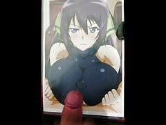 SoP Houki Shinonono (IS Infinite Stratos)