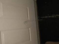 Pissing in 13 different places around the house