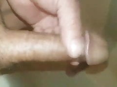 Asian cock