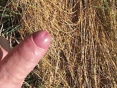 Outdoor wixen