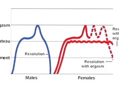 The ultimate guide to multiple orgasms in men