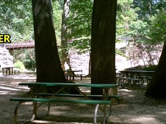 Caught Stroking Off At Picnic Websites SEPTEMBER-2015