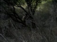 Hd videos, getting off, sans a condom
