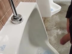 Real risky public solo show in busy vancouver park bathroom by johnholmesjunior with huge cum load