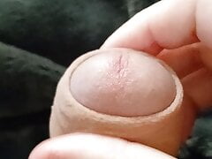 Big dick hole cock fun #9