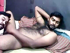 Teddy, fag, gay bear