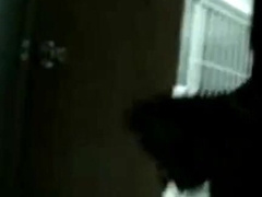 Public Handjob in a Restroom by Bigcockflasher