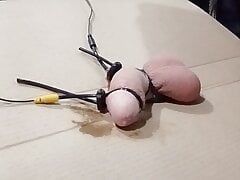 2b estim cumshot.