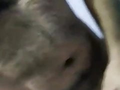 Azeri sikini gosterir
