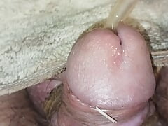 CBT on my tiny cock