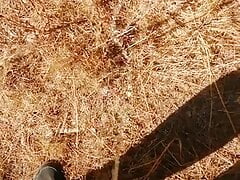Peeing in forest