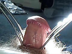Cock hairy, foreskin sunlight