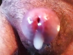 Here I Cum