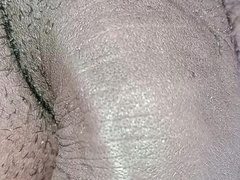 VIEW AT YOUR HORN