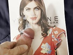Cum tribute Alexandra Daddario