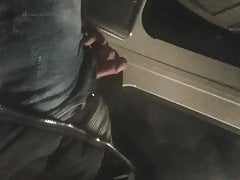 Morgens im Zug nach Hamburg den Schwanz rausgeholt