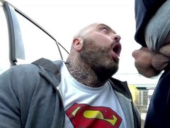 Hd videos, otter, truckers