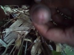 Bangla