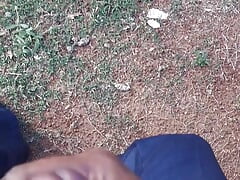Hand job in public