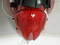 chastity estim pissing