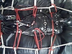 Cock, balls & Arse Torture with electro 5