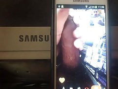 Dardeillosz Webcamera Masturbating #0025