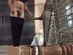 Stranger fuck a neighbour in the bathroom suxk cock and pussy #ass #fuck cock. #pussy