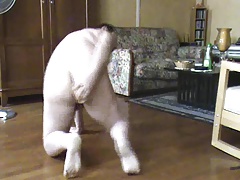 algaycho dildo fuck