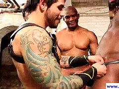 fledgling jock ebony throating and wanking