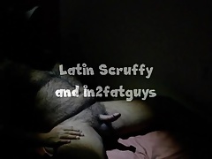 sucking bear ll