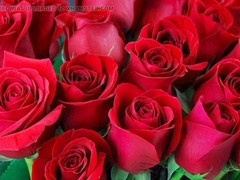 Mature Bangladeshi gay action with Desi Mazaa