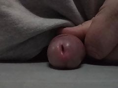Small cock POV cum... Dillbrick
