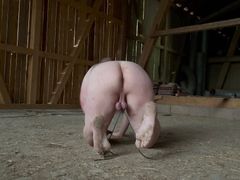 Loser cbt Training 2