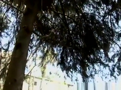 Hunk gay studs big black cocks are out in the woods for sex