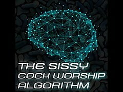 The Sissy Algorithm