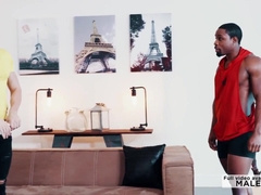 Glamcore Multiracial Fag Porno