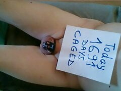 Little Dick caged